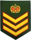 Malaysian Army Badges